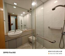 The Light @ Cairnhill (D9), Condominium #462257151